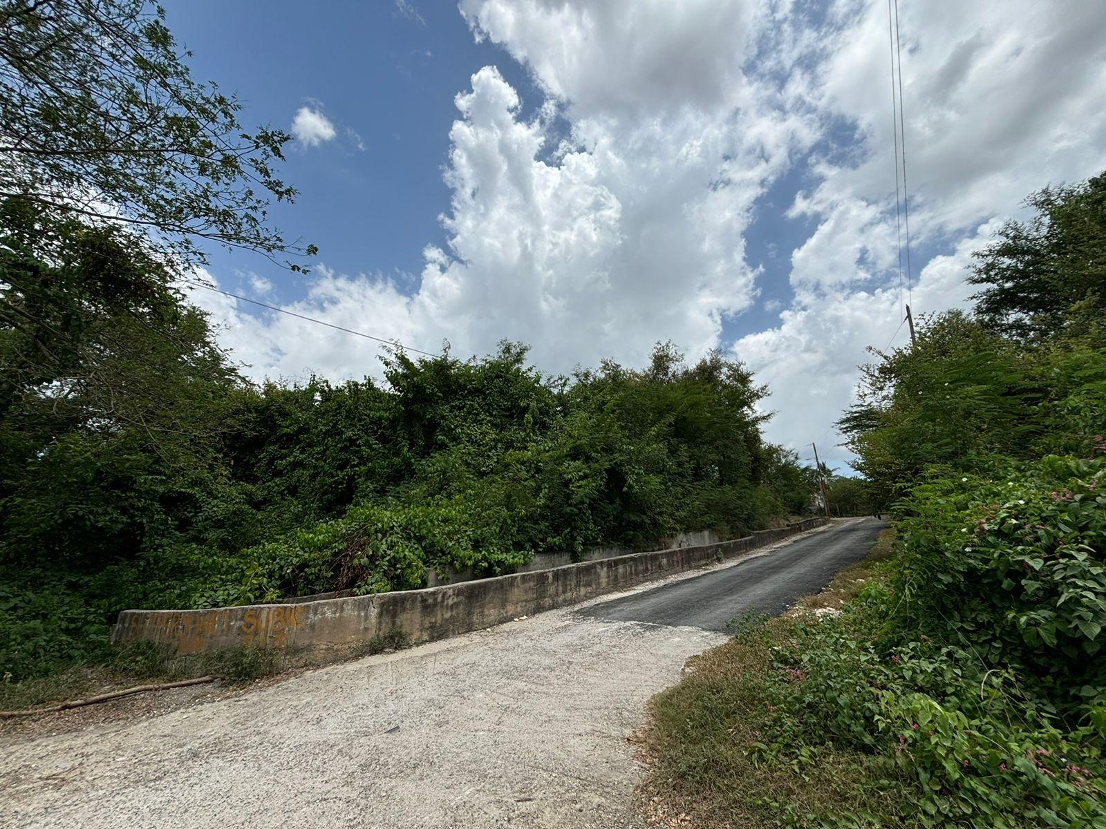 19.5-Acres-of-Prime-Development-Land-for-Sale-in-Milk-River-Jamaica Second image of Cherry Hill/milk River in Milk River, Clarendon, Jamaica - property is For Sale