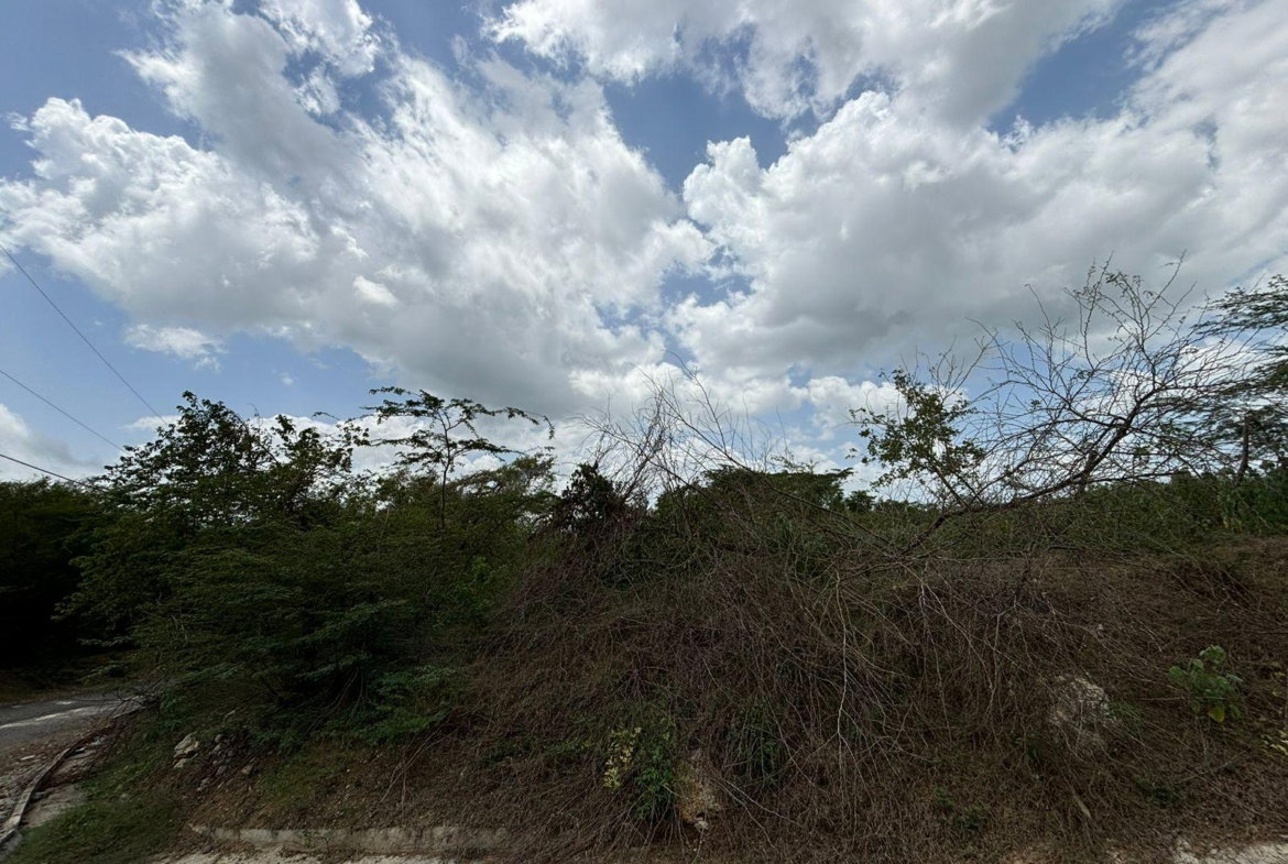 Eleventh image of Cherry Hill/milk River in Milk River, Clarendon, Jamaica - property is For Sale