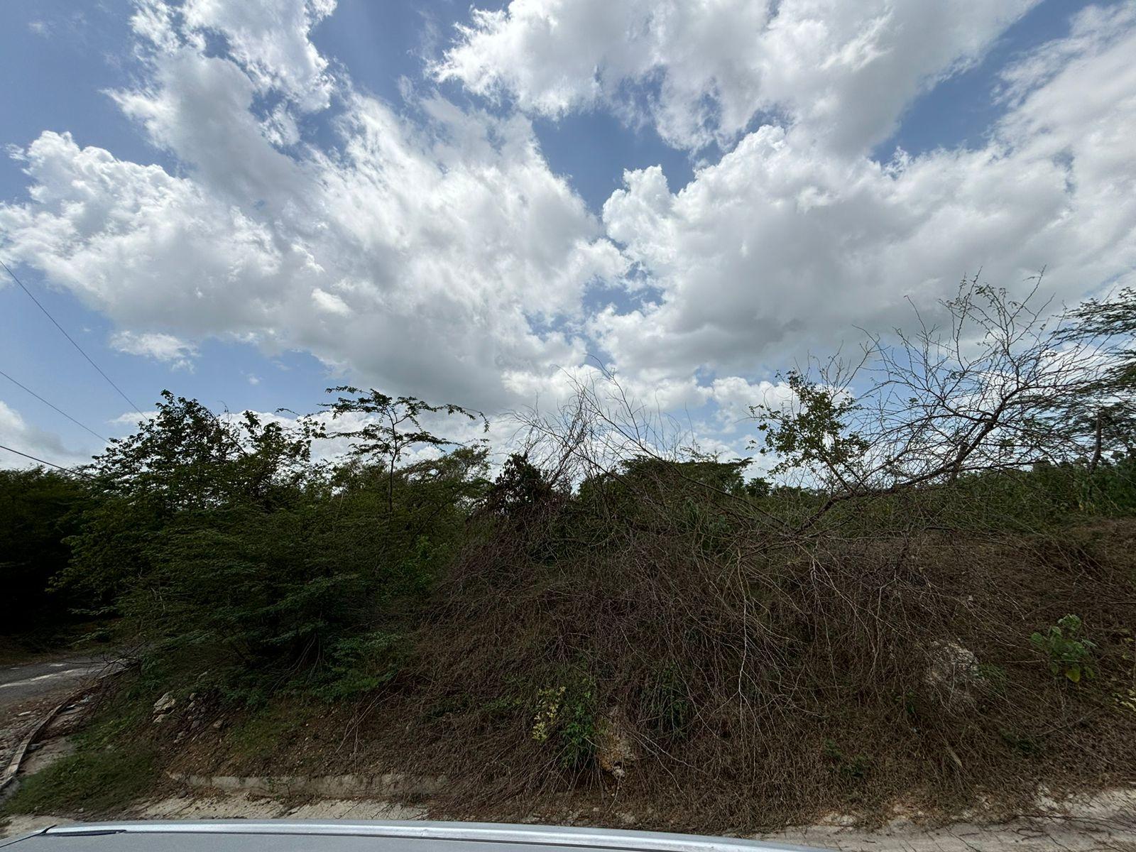 19.5-Acres-of-Prime-Development-Land-for-Sale-in-Milk-River-Jamaica Eleventh image of Cherry Hill/milk River in Milk River, Clarendon, Jamaica - property is For Sale