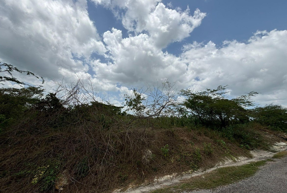 Twelfth image of Cherry Hill/milk River in Milk River, Clarendon, Jamaica - property is For Sale