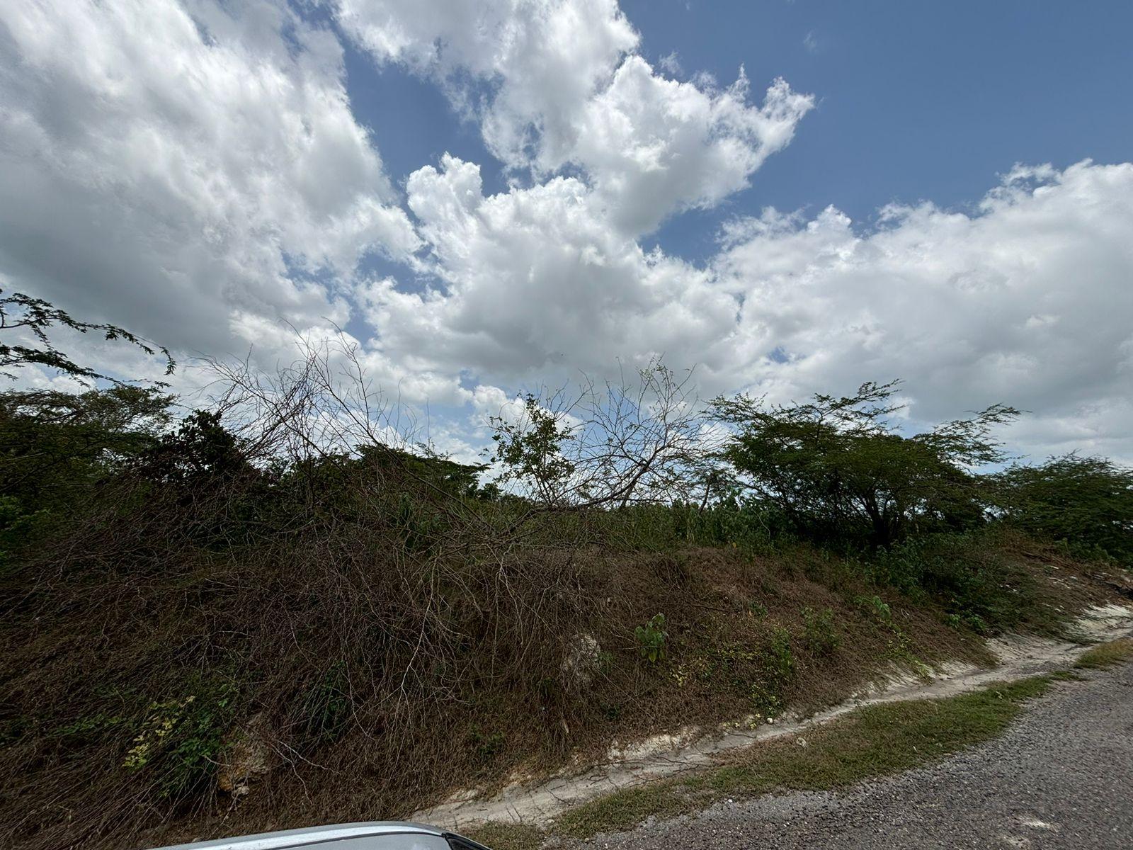 19.5-Acres-of-Prime-Development-Land-for-Sale-in-Milk-River-Jamaica Twelfth image of Cherry Hill/milk River in Milk River, Clarendon, Jamaica - property is For Sale