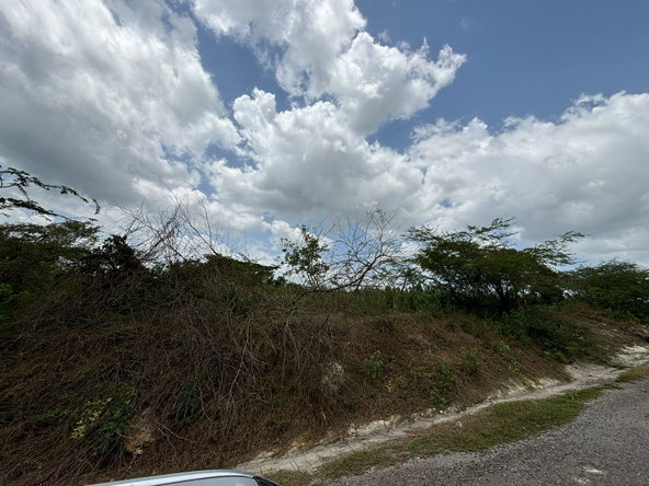 Twelfth image of Cherry Hill/milk River in Milk River, Clarendon, Jamaica - property is For Sale