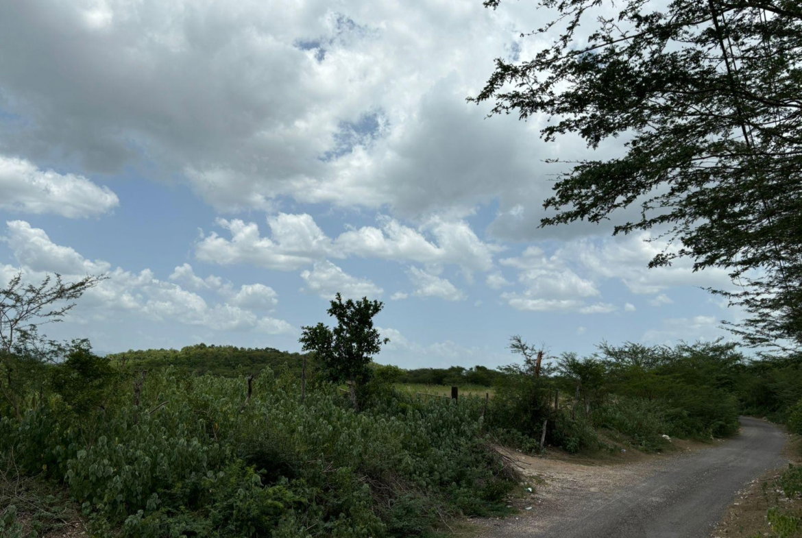 Thirteenth image of Cherry Hill/milk River in Milk River, Clarendon, Jamaica - property is For Sale