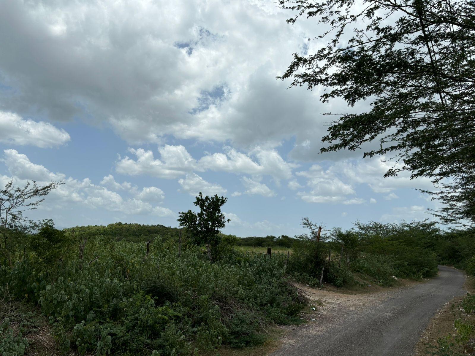 19.5-Acres-of-Prime-Development-Land-for-Sale-in-Milk-River-Jamaica Thirteenth image of Cherry Hill/milk River in Milk River, Clarendon, Jamaica - property is For Sale