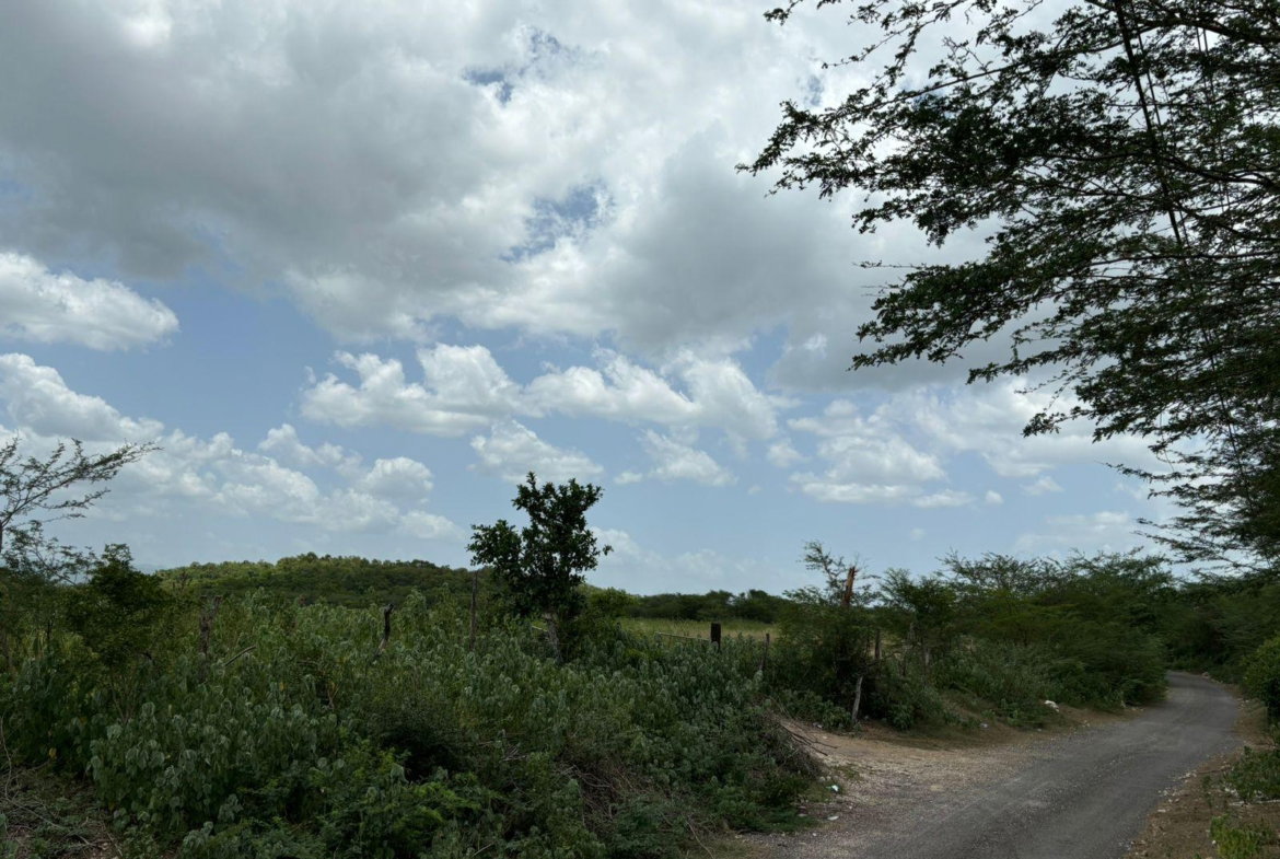 Fourteenth image of Cherry Hill/milk River in Milk River, Clarendon, Jamaica - property is For Sale