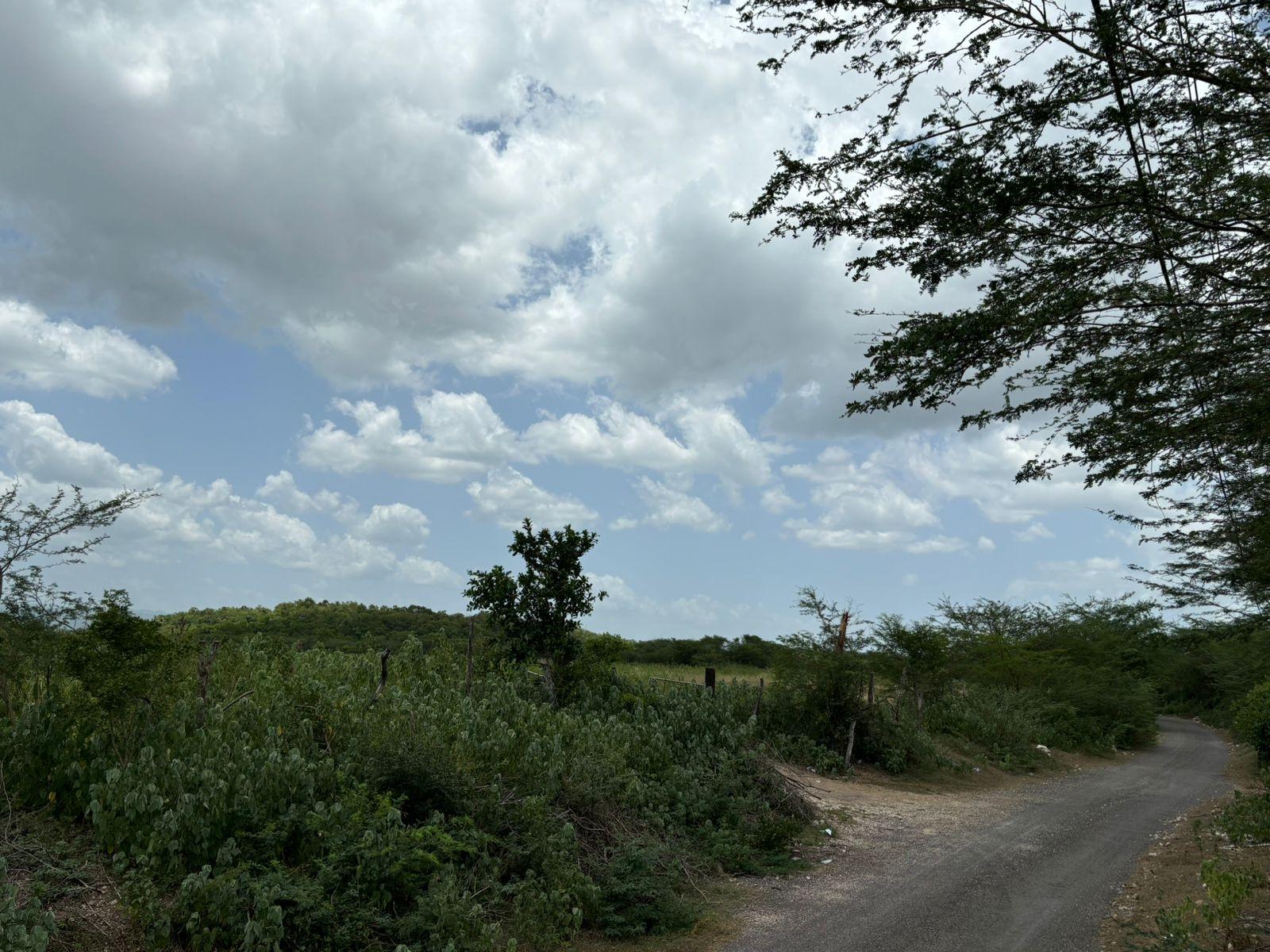 19.5-Acres-of-Prime-Development-Land-for-Sale-in-Milk-River-Jamaica Fourteenth image of Cherry Hill/milk River in Milk River, Clarendon, Jamaica - property is For Sale