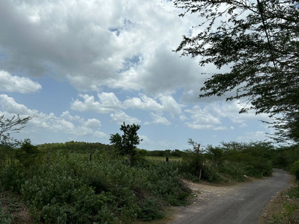 Fourteenth image of Cherry Hill/milk River in Milk River, Clarendon, Jamaica - property is For Sale