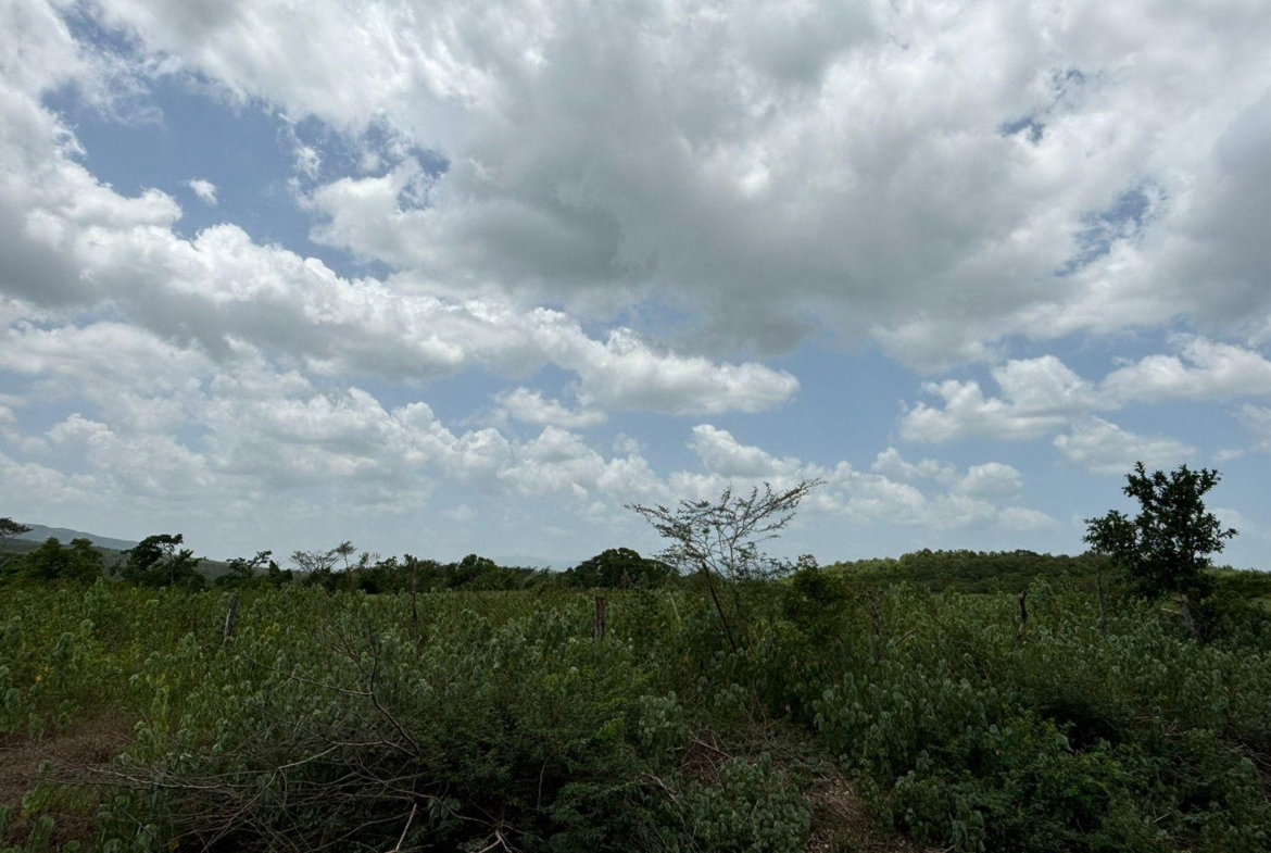 Fifteenth image of Cherry Hill/milk River in Milk River, Clarendon, Jamaica - property is For Sale