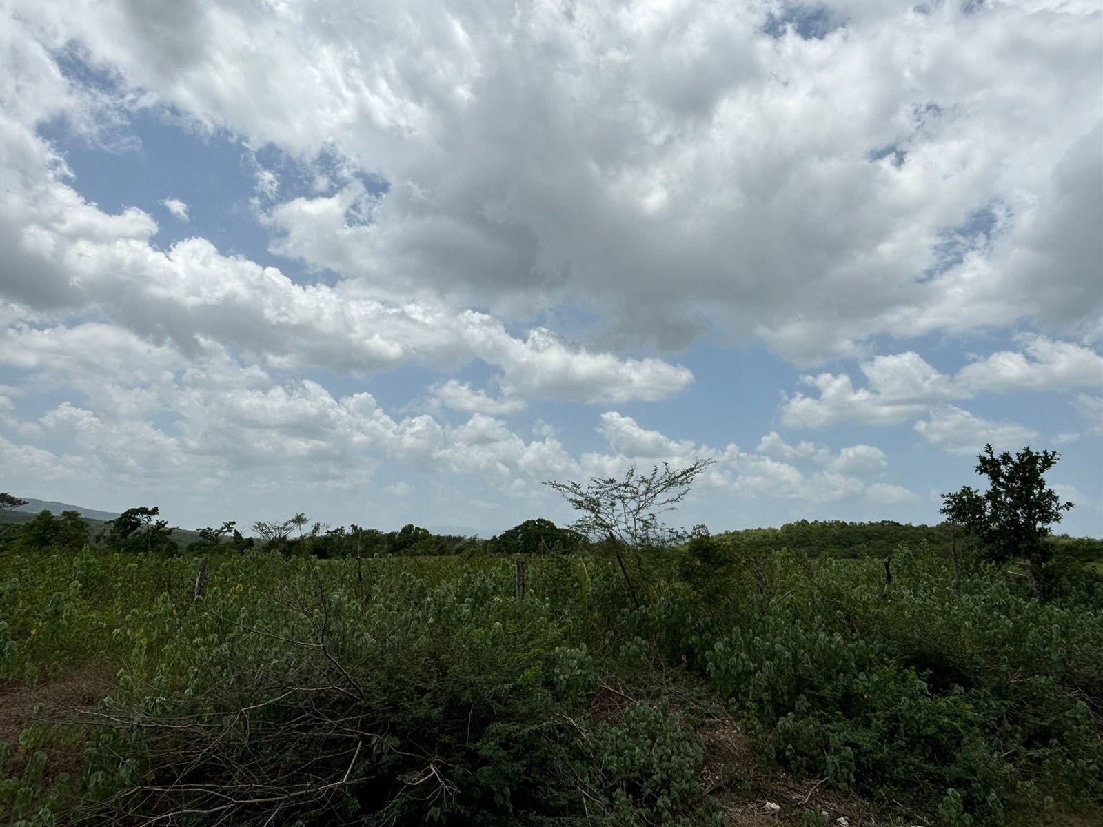 19.5-Acres-of-Prime-Development-Land-for-Sale-in-Milk-River-Jamaica Fifteenth image of Cherry Hill/milk River in Milk River, Clarendon, Jamaica - property is For Sale