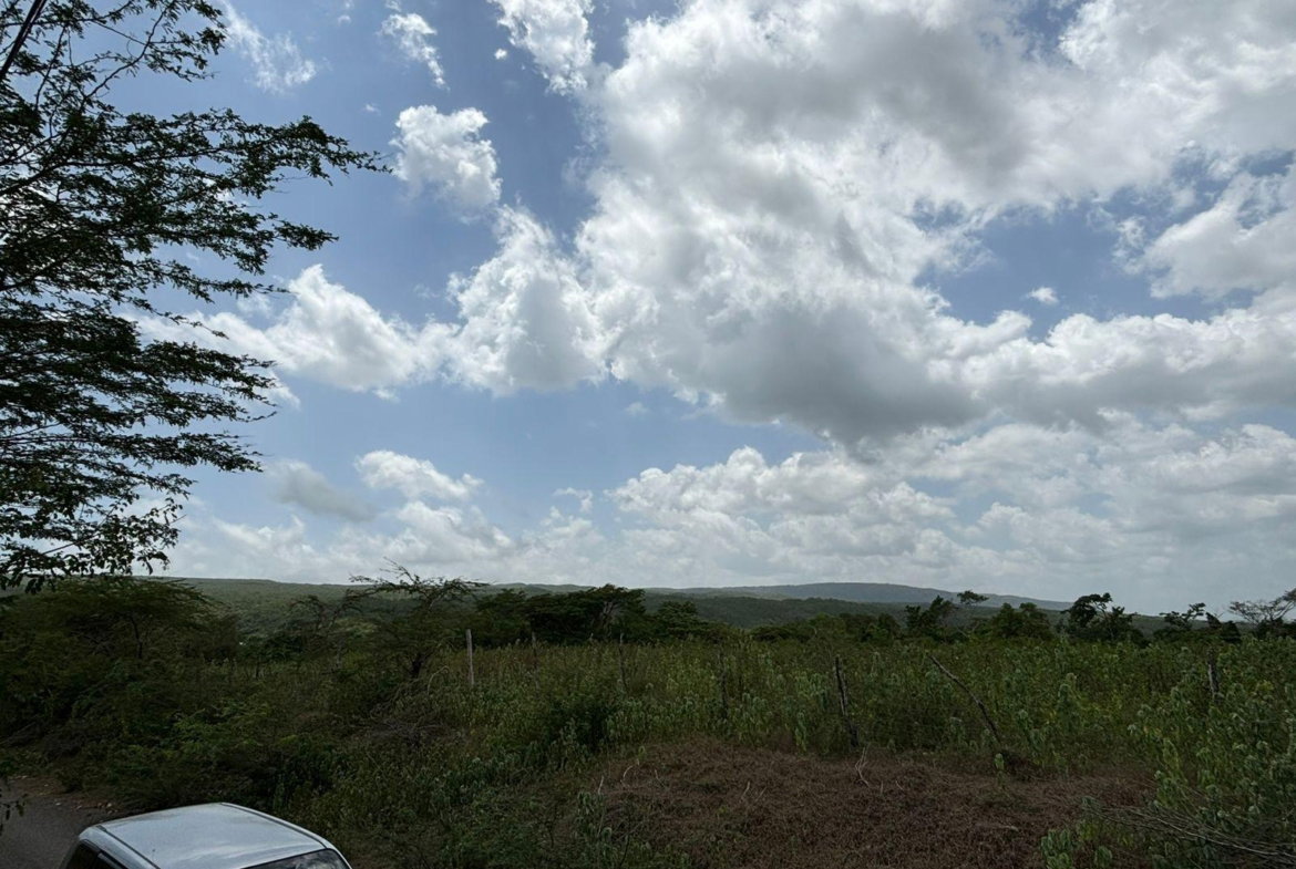 Sixteenth image of Cherry Hill/milk River in Milk River, Clarendon, Jamaica - property is For Sale
