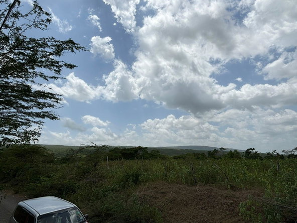 Sixteenth image of Cherry Hill/milk River in Milk River, Clarendon, Jamaica - property is For Sale