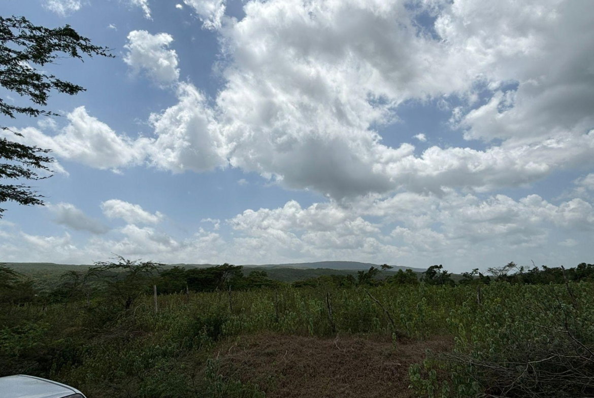 Seventeenth image of Cherry Hill/milk River in Milk River, Clarendon, Jamaica - property is For Sale