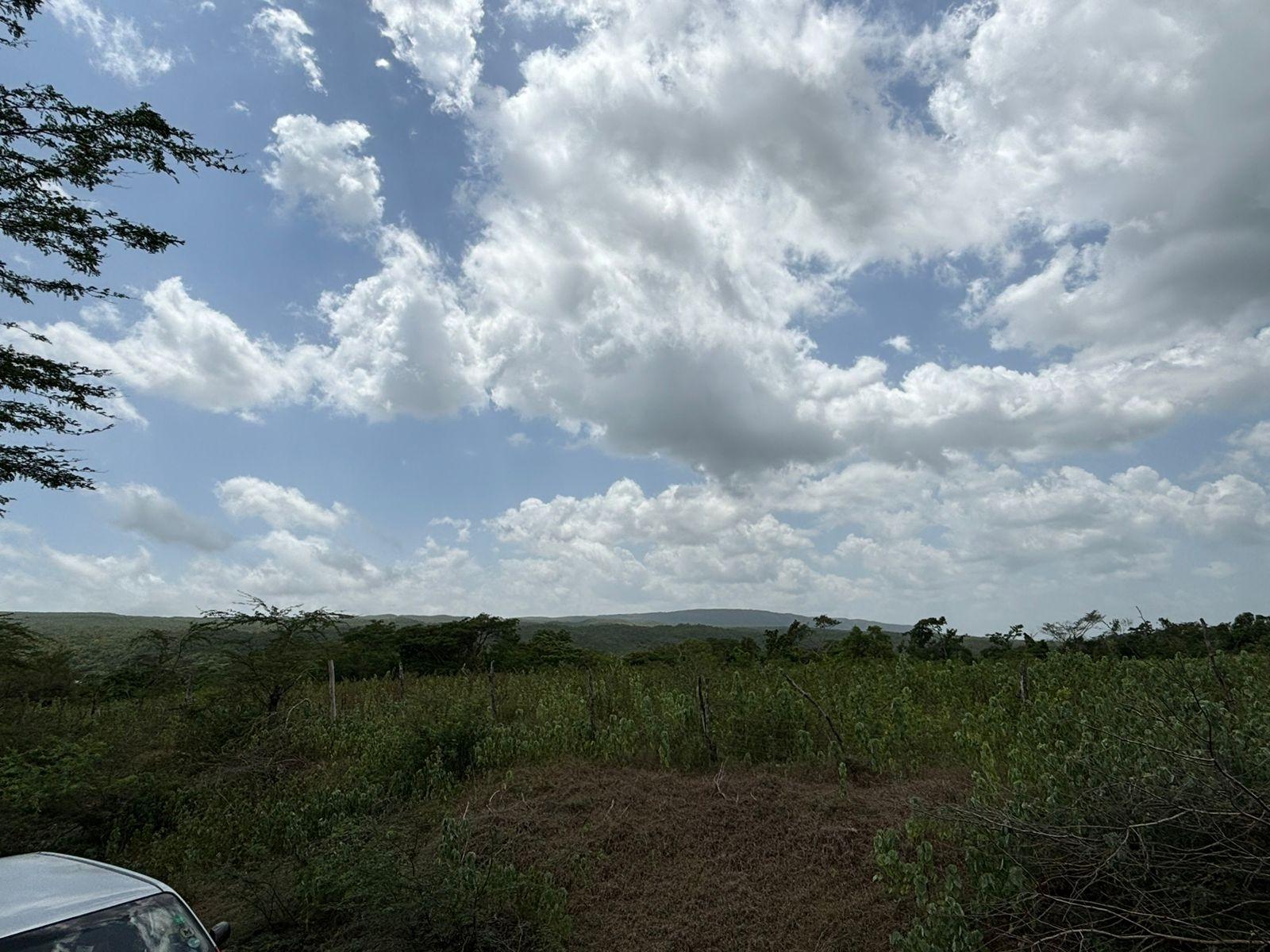19.5-Acres-of-Prime-Development-Land-for-Sale-in-Milk-River-Jamaica Seventeenth image of Cherry Hill/milk River in Milk River, Clarendon, Jamaica - property is For Sale