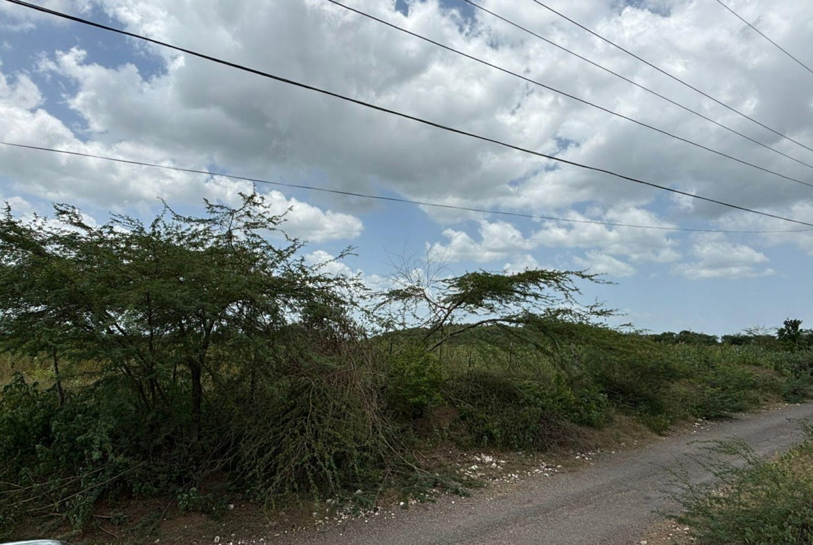 Eighteenth image of Cherry Hill/milk River in Milk River, Clarendon, Jamaica - property is For Sale