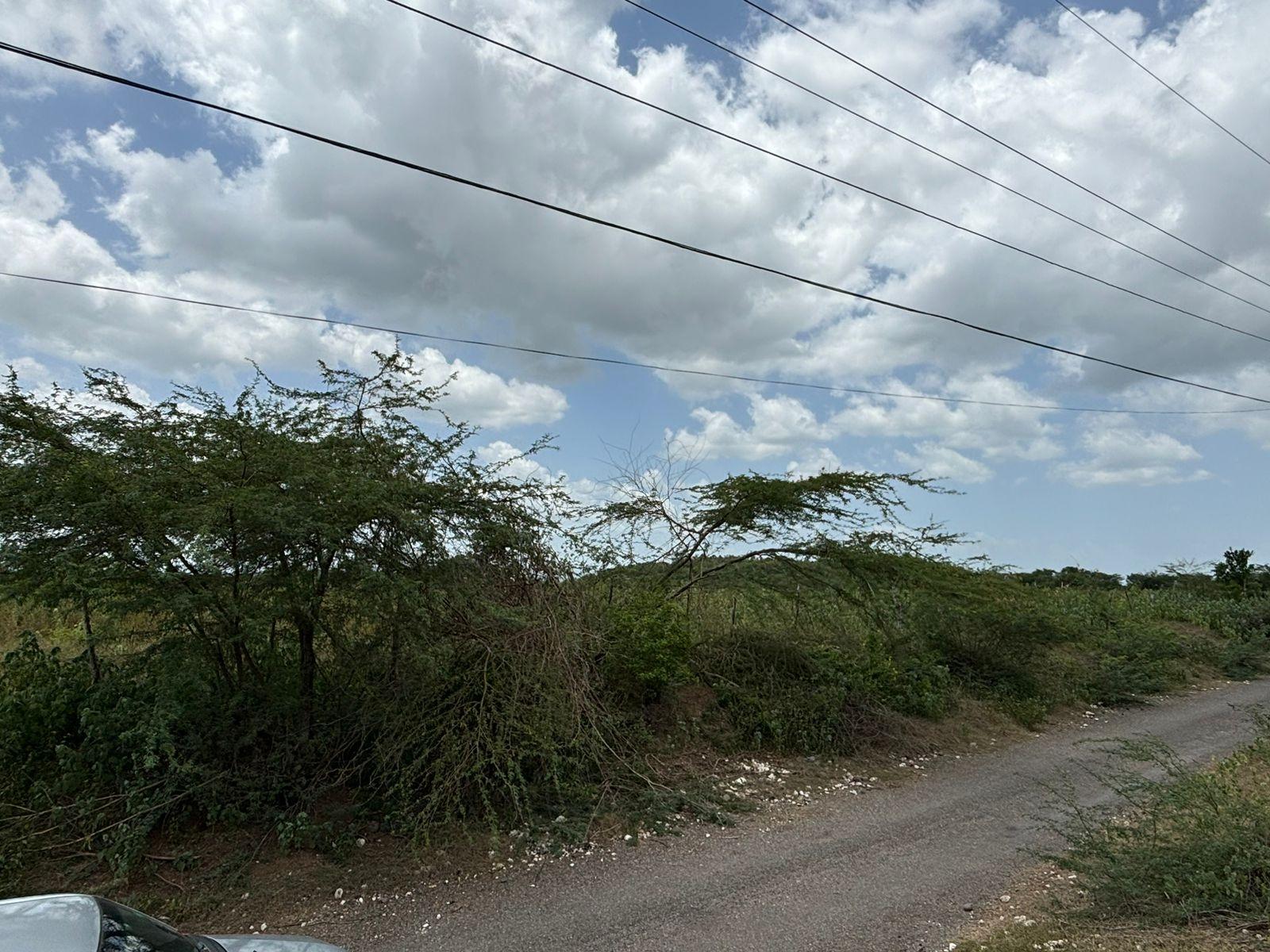 19.5-Acres-of-Prime-Development-Land-for-Sale-in-Milk-River-Jamaica Eighteenth image of Cherry Hill/milk River in Milk River, Clarendon, Jamaica - property is For Sale
