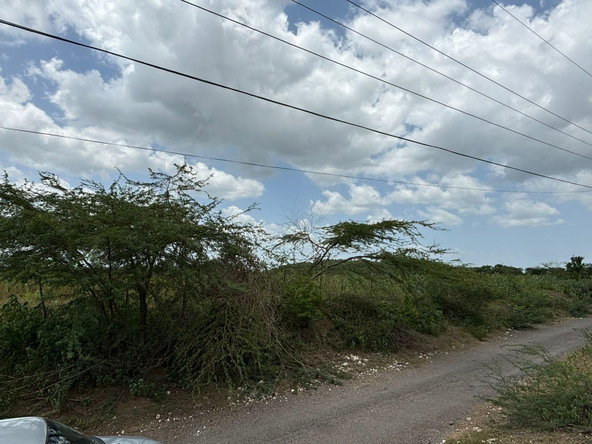Eighteenth image of Cherry Hill/milk River in Milk River, Clarendon, Jamaica - property is For Sale