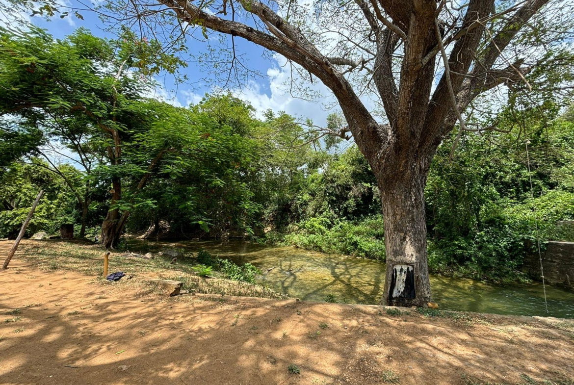 Fourth image of Cherry Hill/milk River in Milk River, Clarendon, Jamaica - property is For Sale