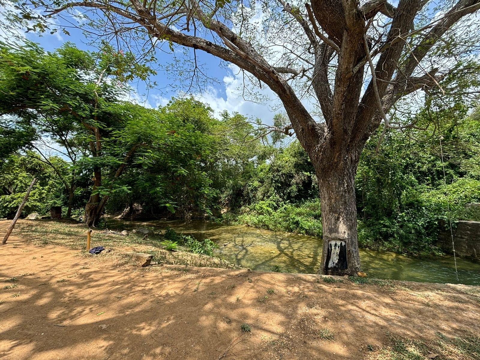 19.5-Acres-of-Prime-Development-Land-for-Sale-in-Milk-River-Jamaica Fourth image of Cherry Hill/milk River in Milk River, Clarendon, Jamaica - property is For Sale