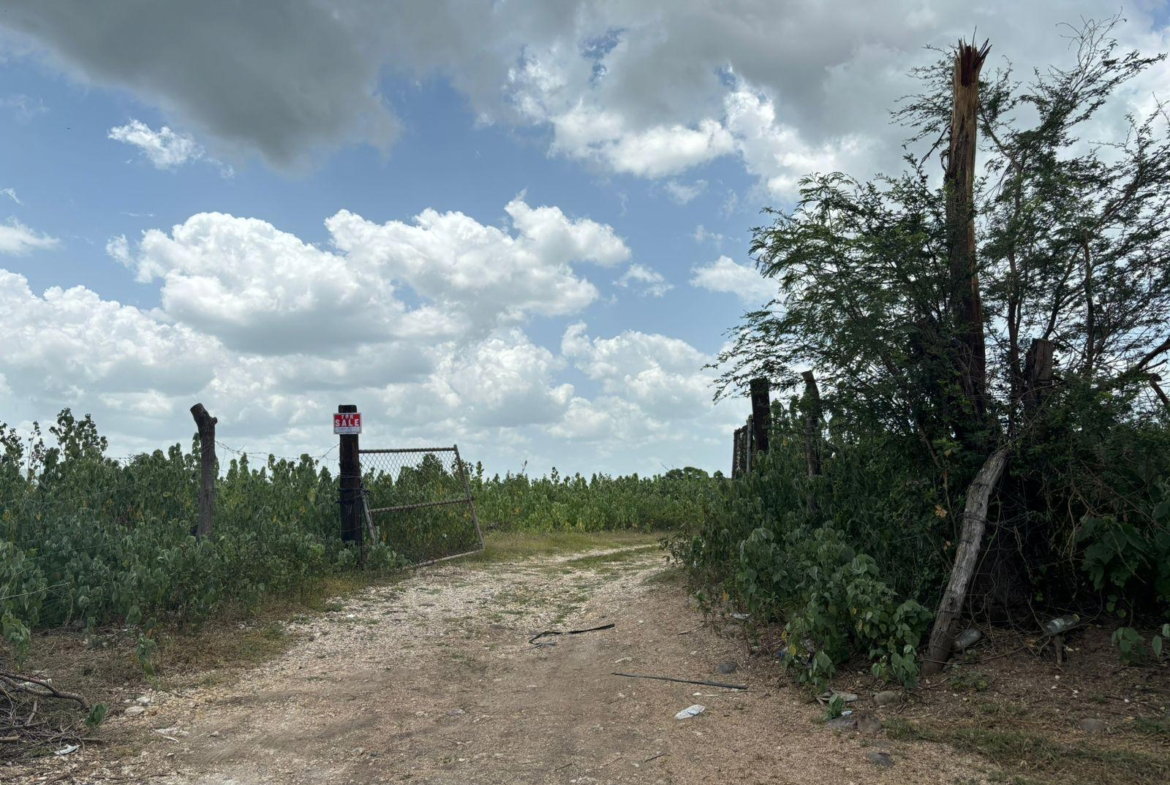 Fifth image of Cherry Hill/milk River in Milk River, Clarendon, Jamaica - property is For Sale