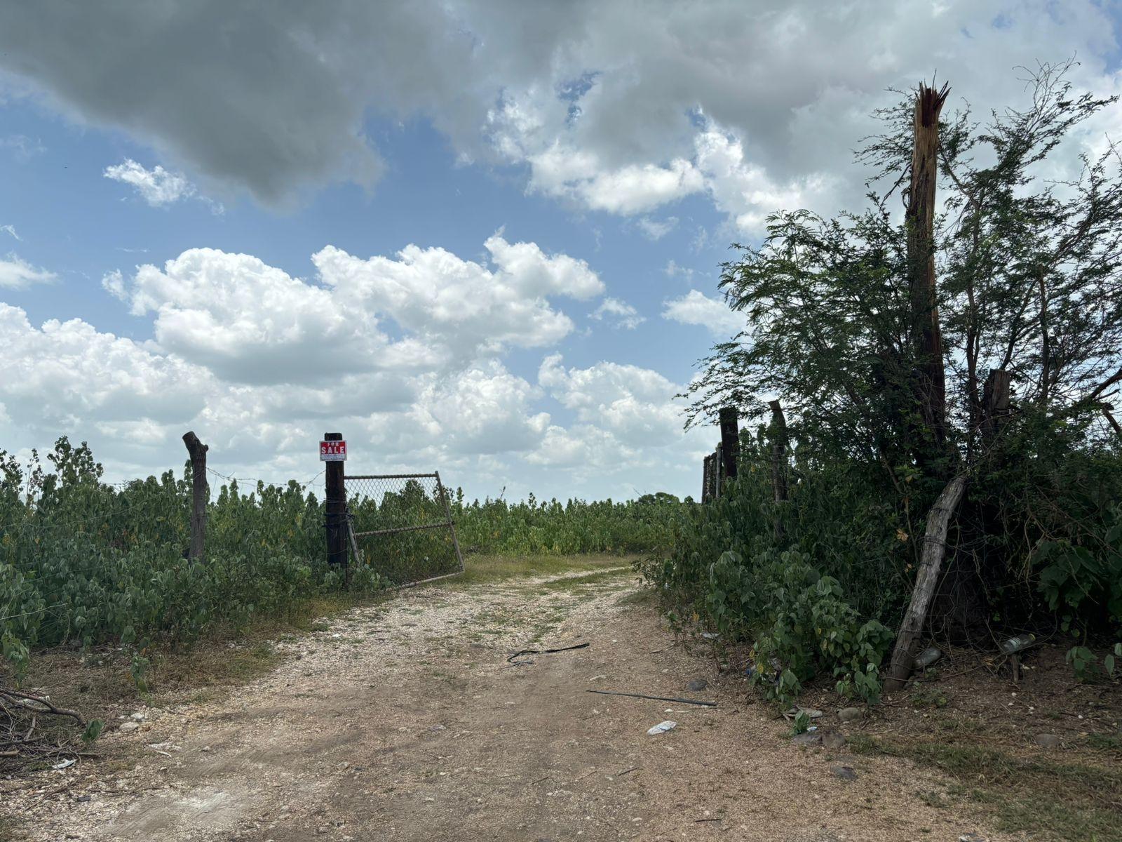 19.5-Acres-of-Prime-Development-Land-for-Sale-in-Milk-River-Jamaica Fifth image of Cherry Hill/milk River in Milk River, Clarendon, Jamaica - property is For Sale