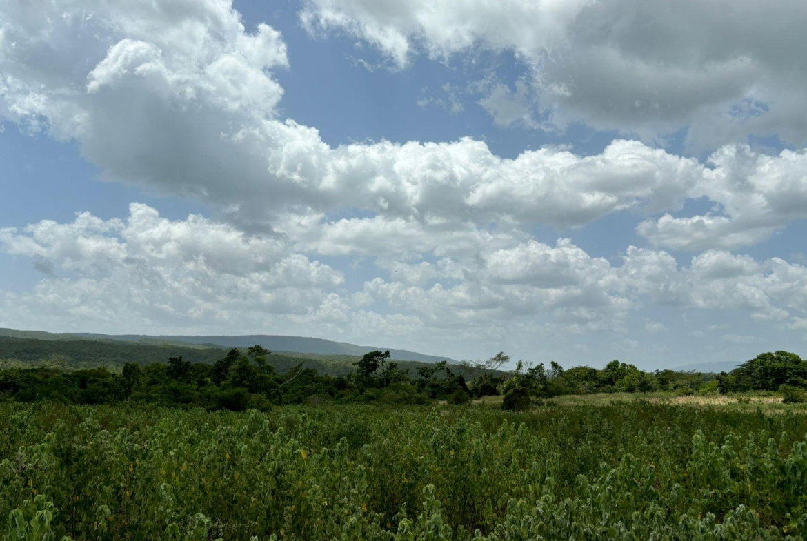 Sixth image of Cherry Hill/milk River in Milk River, Clarendon, Jamaica - property is For Sale
