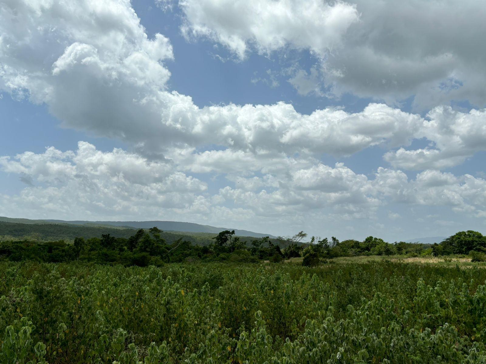 19.5-Acres-of-Prime-Development-Land-for-Sale-in-Milk-River-Jamaica Sixth image of Cherry Hill/milk River in Milk River, Clarendon, Jamaica - property is For Sale