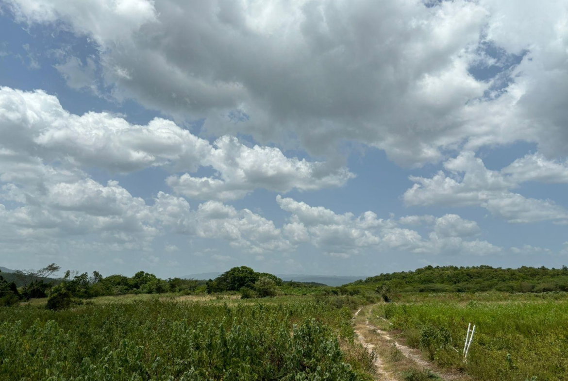 Seventh image of Cherry Hill/milk River in Milk River, Clarendon, Jamaica - property is For Sale