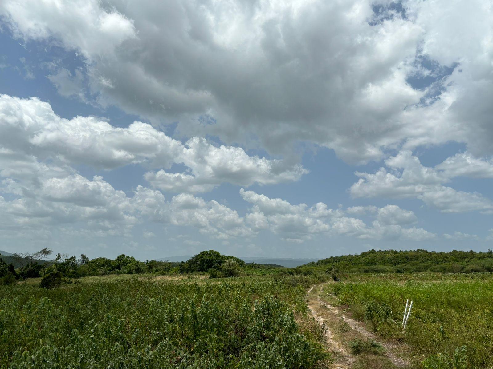 19.5-Acres-of-Prime-Development-Land-for-Sale-in-Milk-River-Jamaica Seventh image of Cherry Hill/milk River in Milk River, Clarendon, Jamaica - property is For Sale