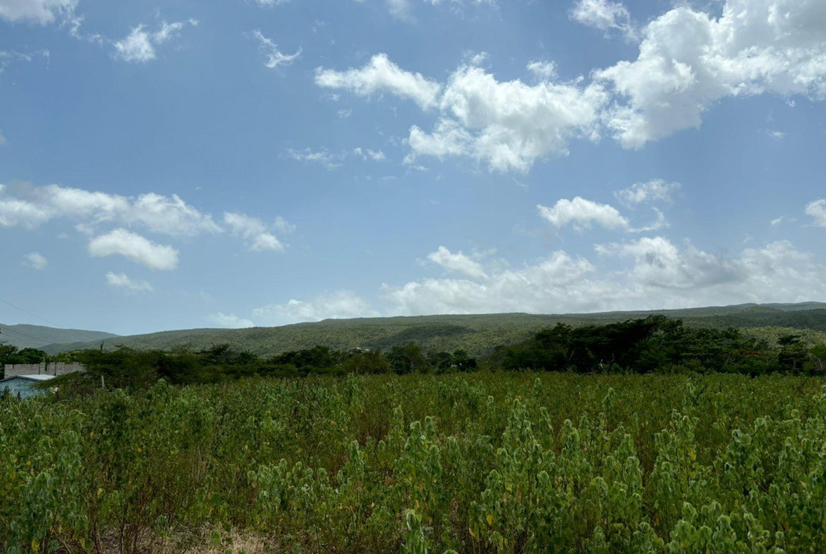 Eighth image of Cherry Hill/milk River in Milk River, Clarendon, Jamaica - property is For Sale