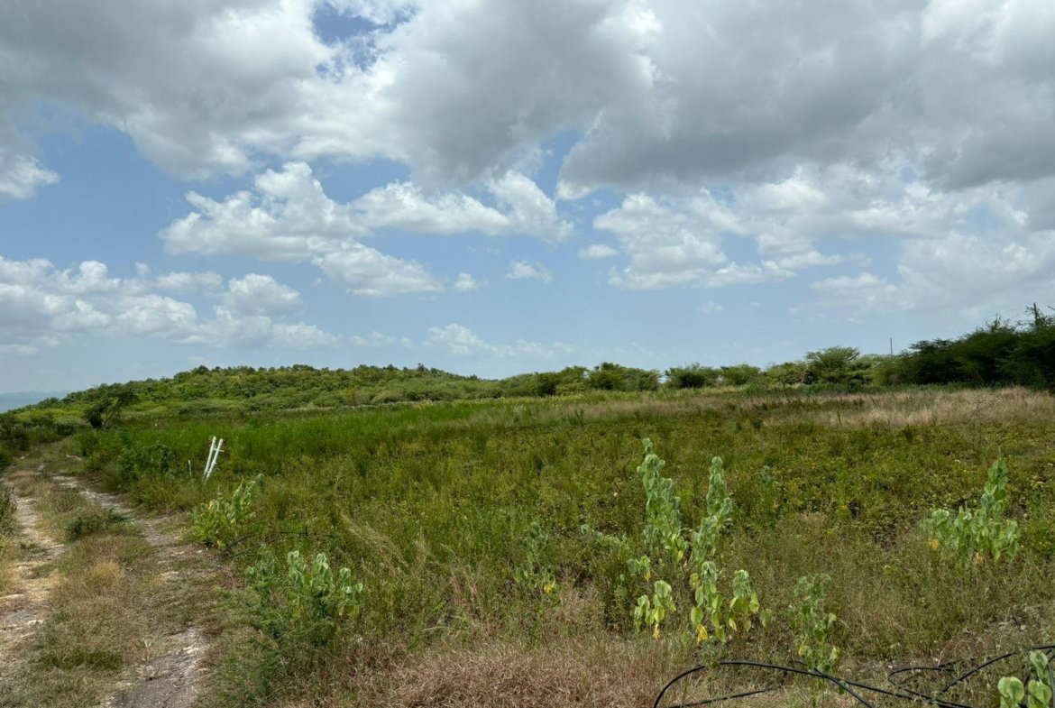 Ninth image of Cherry Hill/milk River in Milk River, Clarendon, Jamaica - property is For Sale