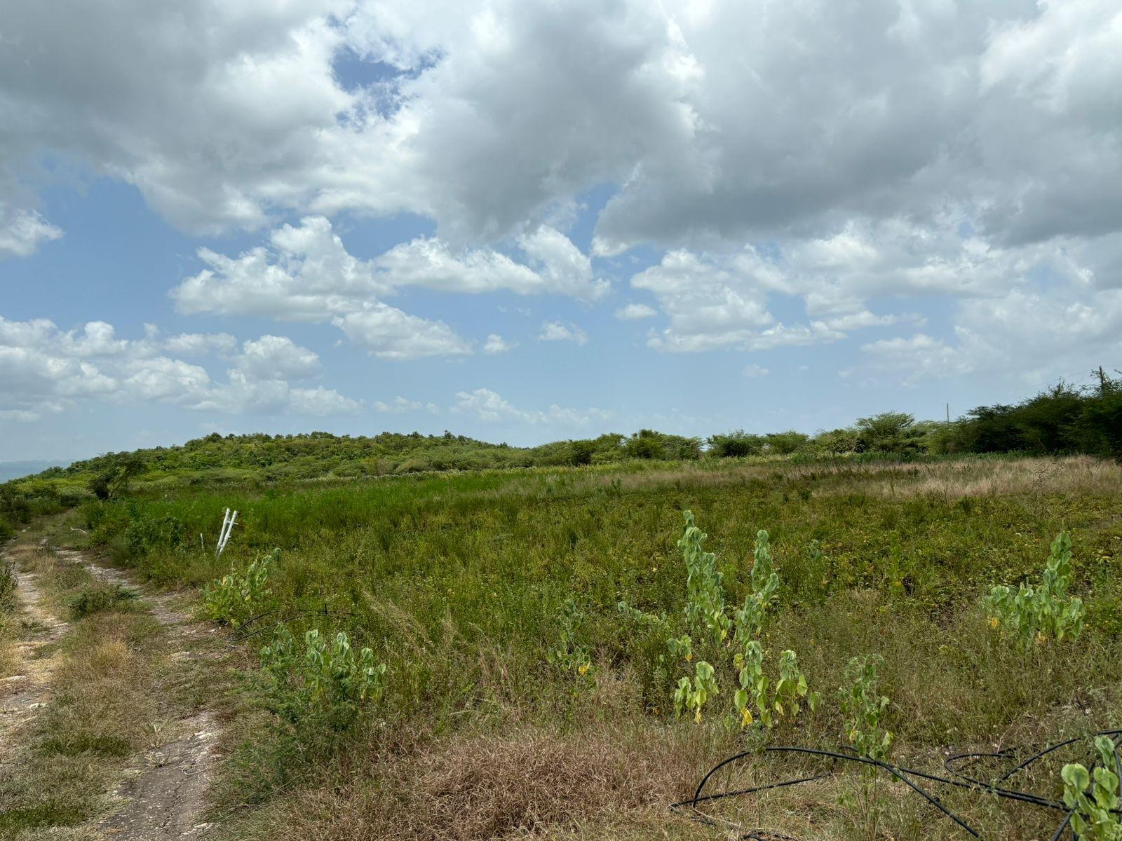 19.5-Acres-of-Prime-Development-Land-for-Sale-in-Milk-River-Jamaica Ninth image of Cherry Hill/milk River in Milk River, Clarendon, Jamaica - property is For Sale