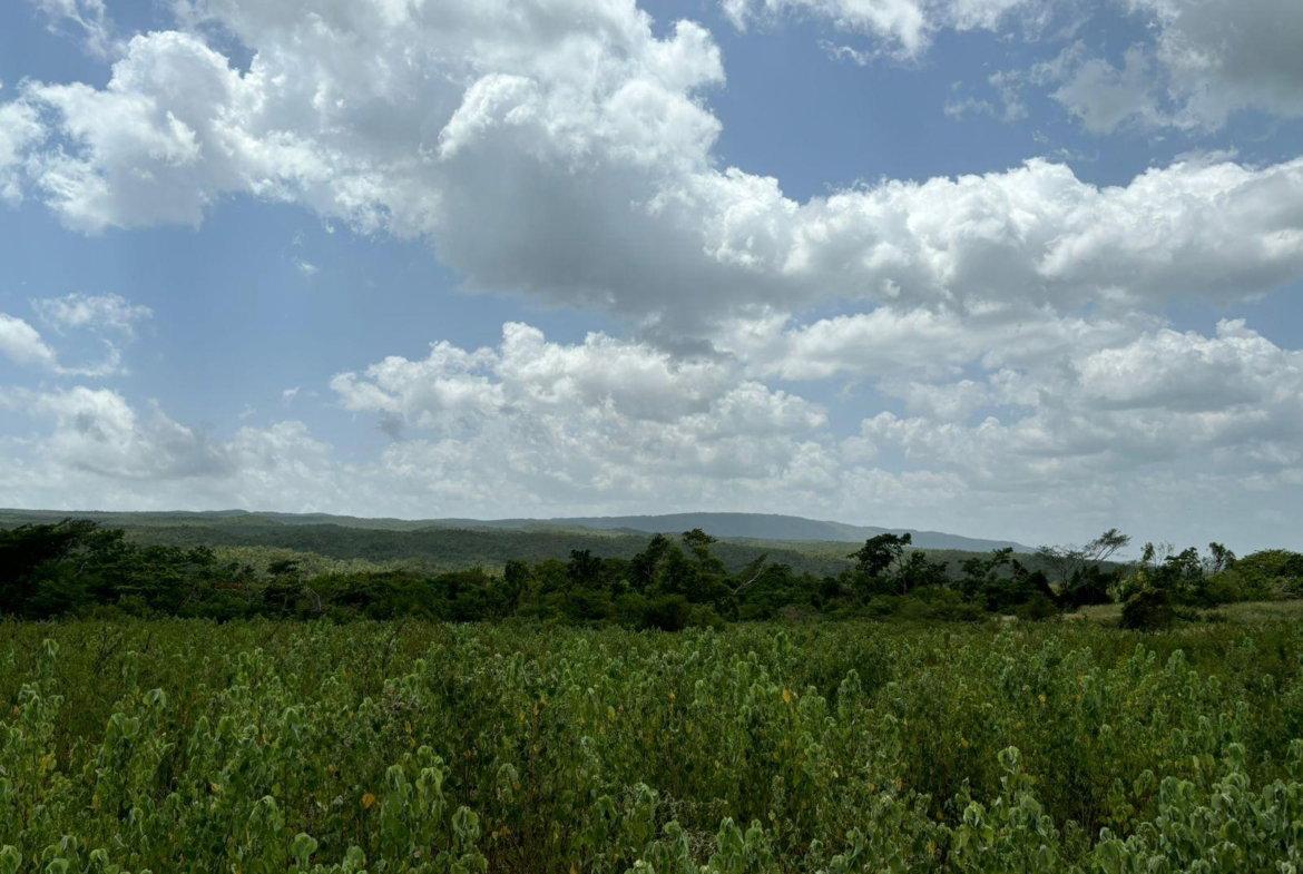 Tenth image of Cherry Hill/milk River in Milk River, Clarendon, Jamaica - property is For Sale