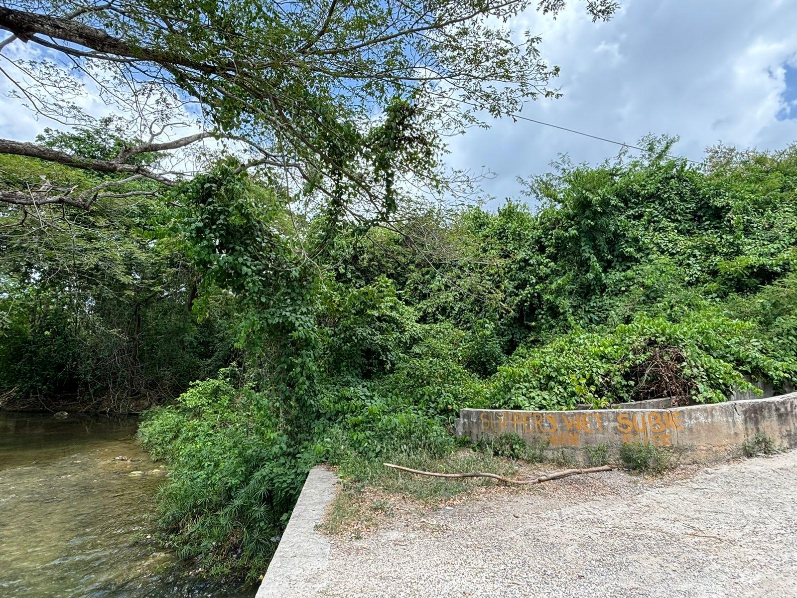 19.5-Acres-of-Prime-Development-Land-for-Sale-in-Milk-River-Jamaica First image of Cherry Hill/milk River in Milk River, Clarendon, Jamaica - property is For Sale