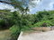First image of Cherry Hill/milk River in Milk River, Clarendon, Jamaica - property is For Sale