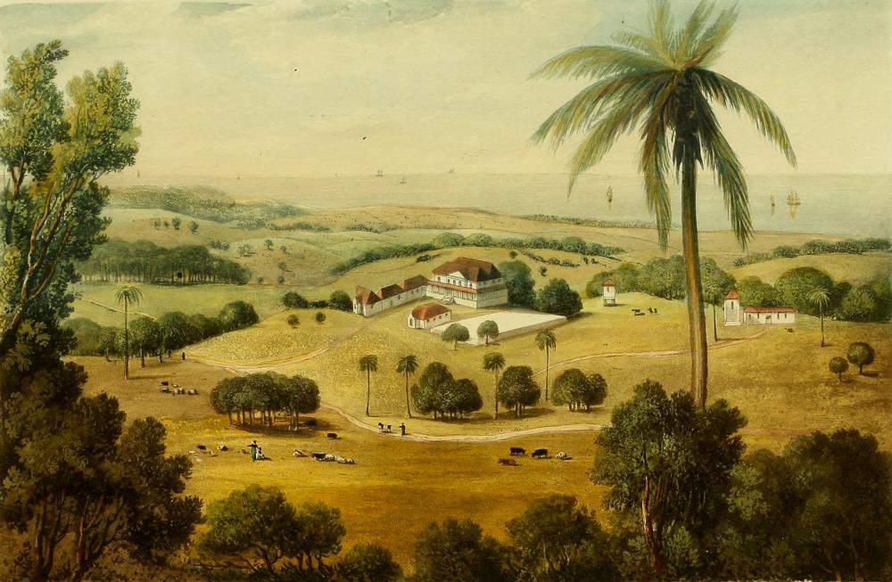 History of St. Ann Jamaica, Quick Summary