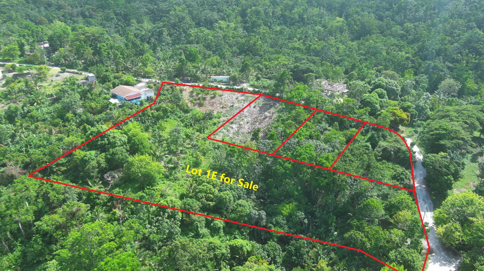 2-Acre-Fertile-Farmstead-for-Sale-in-Portland-Jamaica Second image of Lot 1e Spring Garden in Spring Garden, Portland, Jamaica - property is For Sale