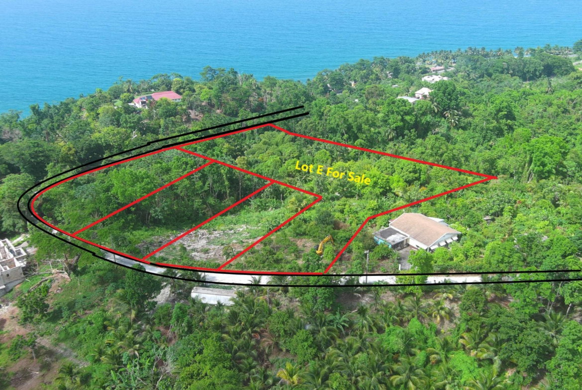 First image of Lot 1e Spring Garden in Spring Garden, Portland, Jamaica - property is For Sale