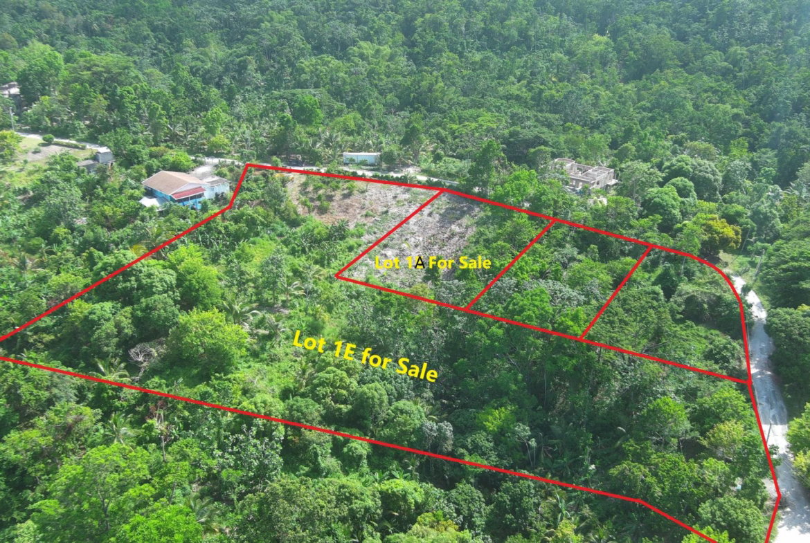 Third image of Lot 1e Spring Garden in Spring Garden, Portland, Jamaica - property is For Sale
