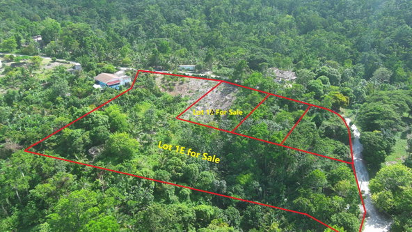 Third image of Lot 1e Spring Garden in Spring Garden, Portland, Jamaica - property is For Sale