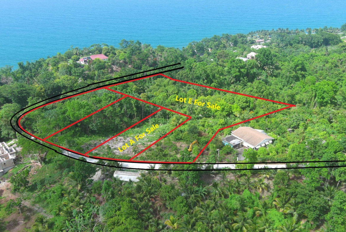 Fourth image of Lot 1e Spring Garden in Spring Garden, Portland, Jamaica - property is For Sale