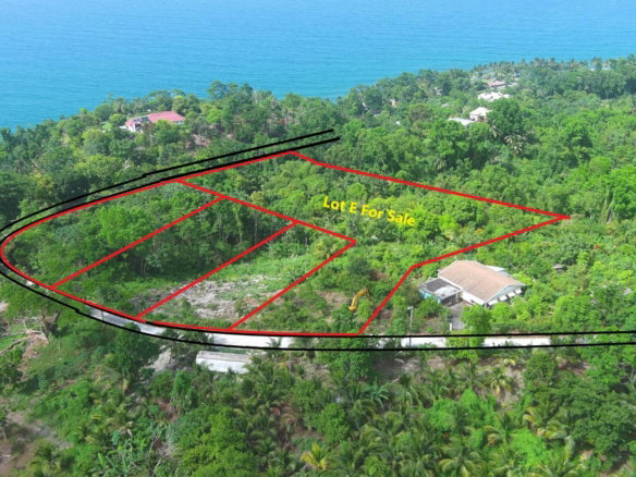 First image of Lot 1e Spring Garden in Spring Garden, Portland, Jamaica - property is For Sale