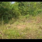 First image of Lot 34 Spring Ground in Christiana, Manchester, Jamaica - property is For Sale