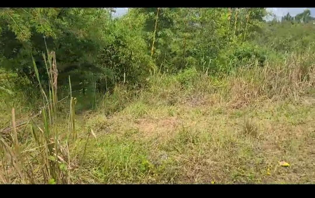First image of Lot 34 Spring Ground in Christiana, Manchester, Jamaica - property is For Sale