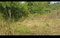First image of Lot 34 Spring Ground in Christiana, Manchester, Jamaica - property is For Sale