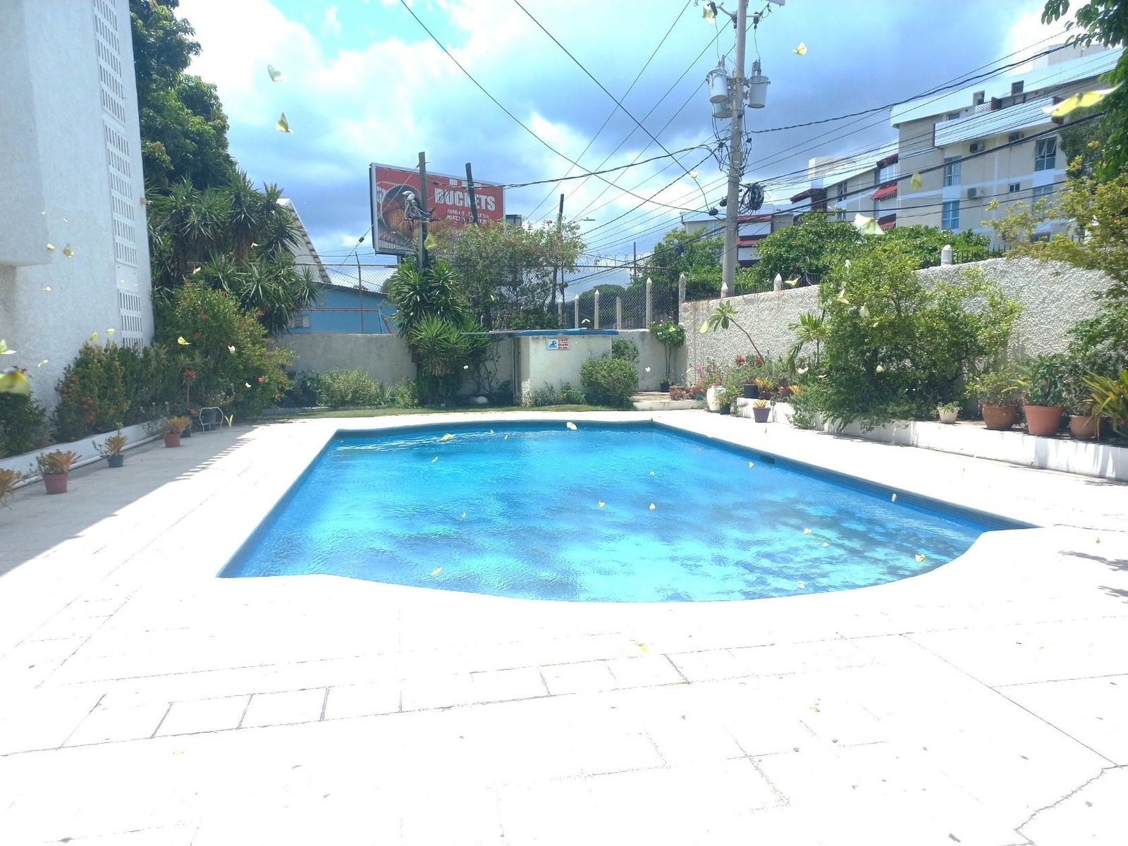 Twenty-Second image of Apt 121-4 Rekadom Avenue, Kingston in NEW KINGSTON, St. Andrew, Jamaica - property is For Rent