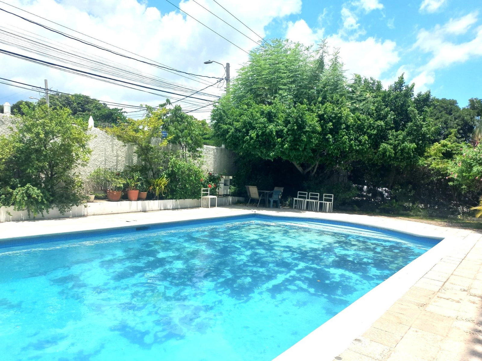 Twenty-Fourth image of Apt 121-4 Rekadom Avenue, Kingston in NEW KINGSTON, St. Andrew, Jamaica - property is For Rent