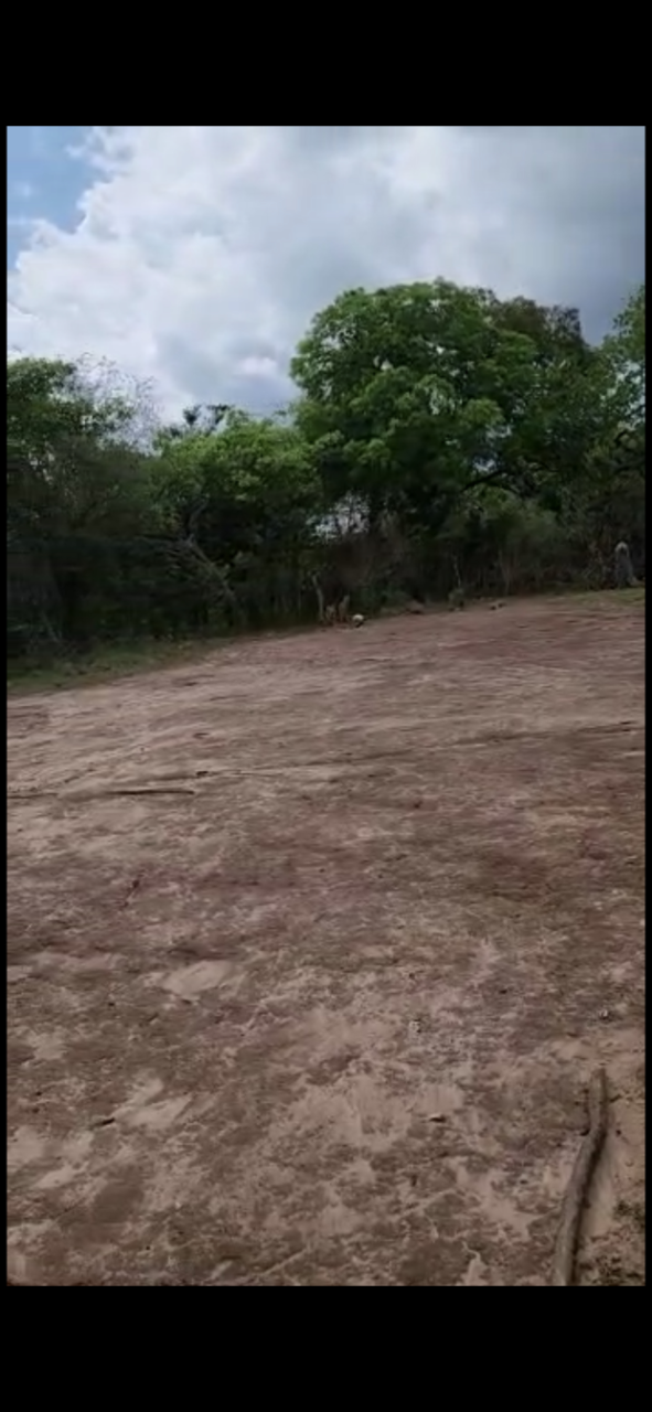 Sixteenth image of Brompton in Fyffes Pen, St. Elizabeth, Jamaica - property is For Sale