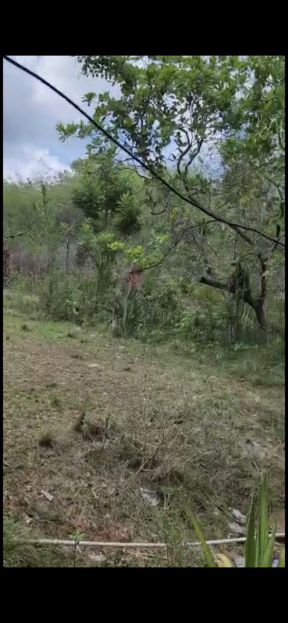 Seventeenth image of Brompton in Fyffes Pen, St. Elizabeth, Jamaica - property is For Sale