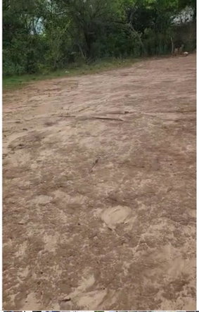Sixth image of Brompton in Fyffes Pen, St. Elizabeth, Jamaica - property is For Sale