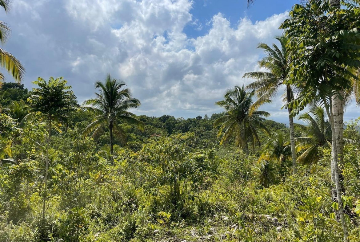 Second image of Union Hill in Union Hill, St. Mary, Jamaica - property is For Sale